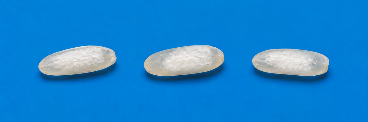 Tres granos de arroz elaborado con una mancha yesosa opaca y blanca en el centro de cada grano, sobre el endospermo translúcido circundante