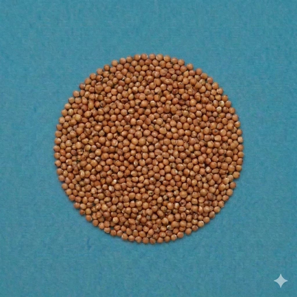 Sorghum