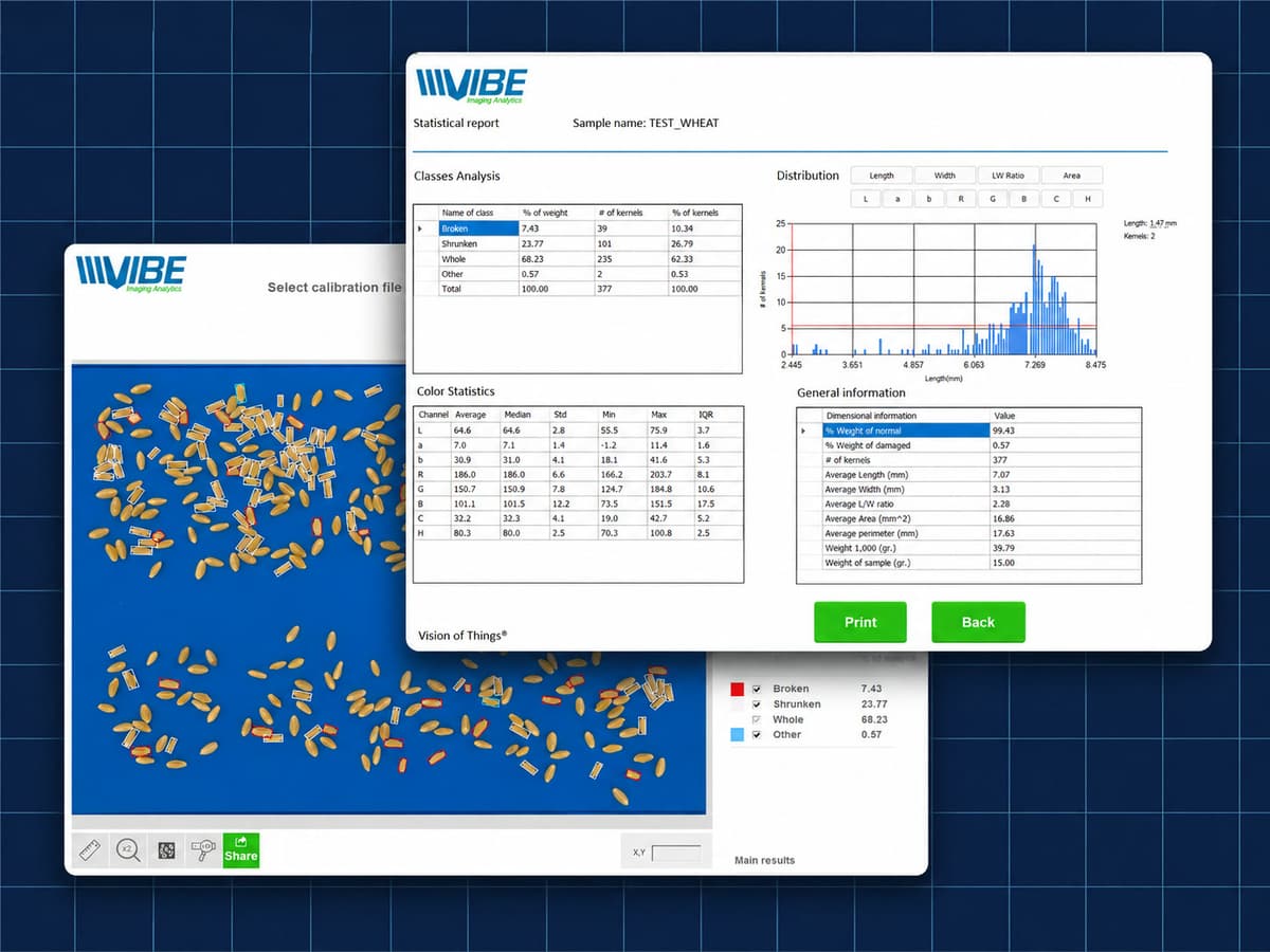 Vibe QM3i Statistical Report screen for a wheat sample, showing a class breakdown by weight and kernel count, colour statistics, a length distribution chart, and general sample information
