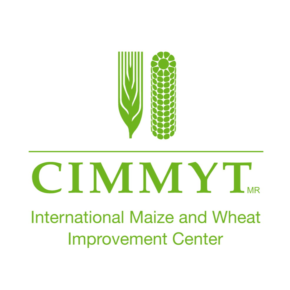 CIMMYT logo