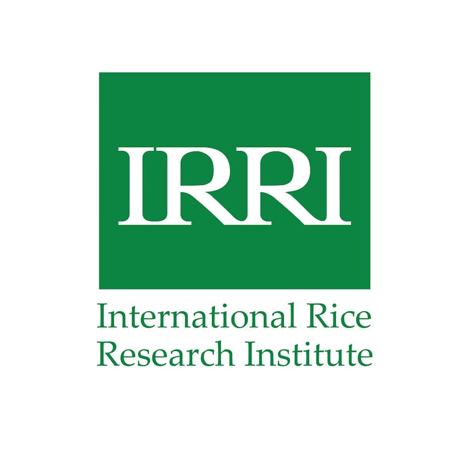 IRRI - International Rice Research Institute logo
