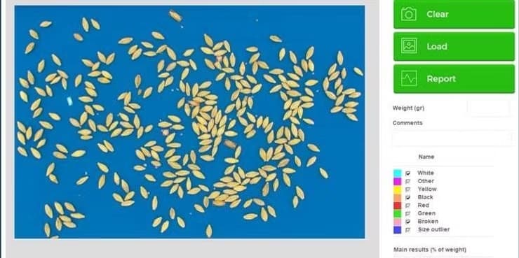 Barley Grading Using QM3i Analyzer preview