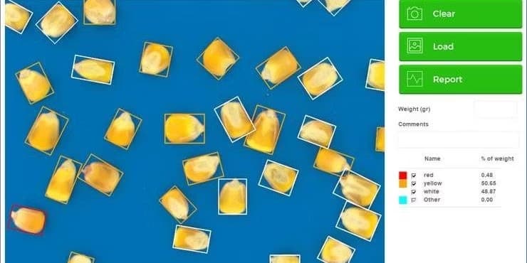 Corn Phenotyping and Grading Using QM3i Analyzer preview