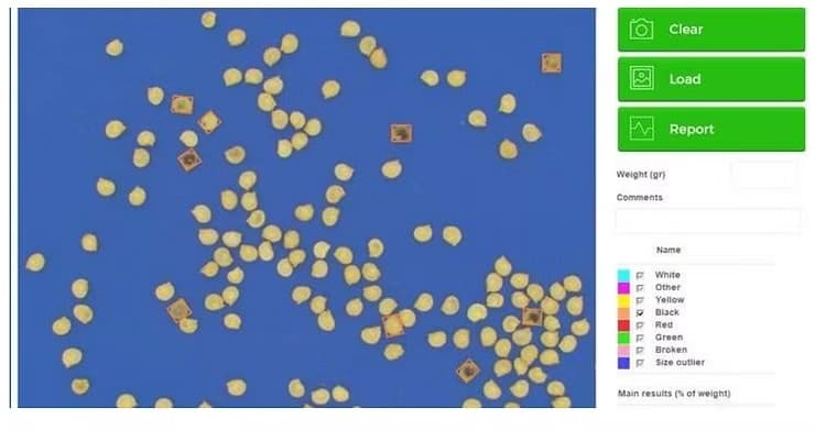 Pepper Seed Phenotyping and Grading preview
