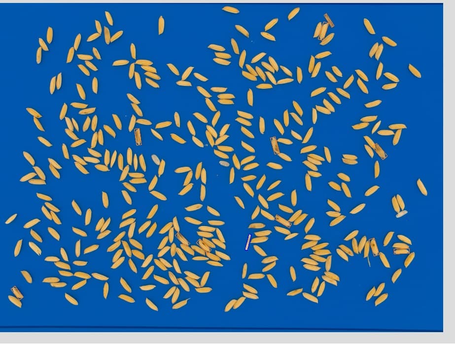 Paddy Rice Quality Analysis preview