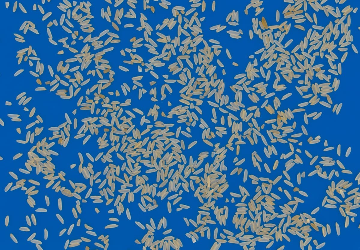 Parboiled Rice Quality Standards preview