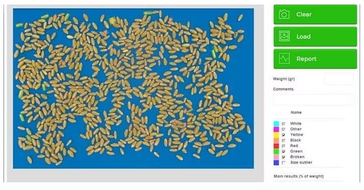 Wheat Phenotyping and Grading Using QM3i Analyzer preview