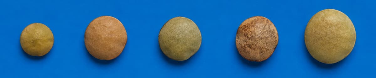 Distribuciones de tamaño