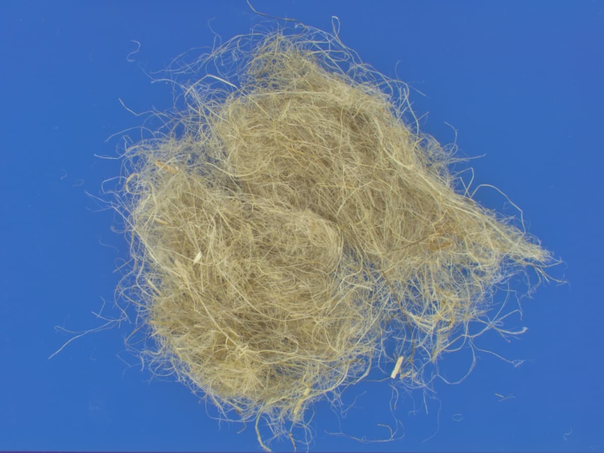 Hemp Fiber Analysis: Color Characterization preview
