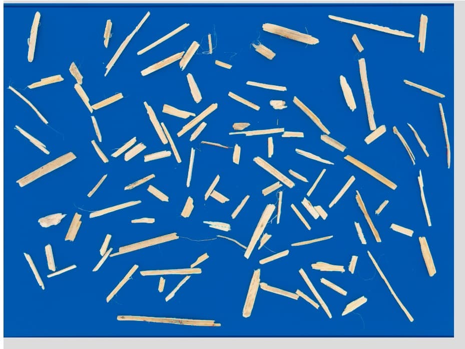 Hemp Hurd Analysis: Size and Color Metrics preview